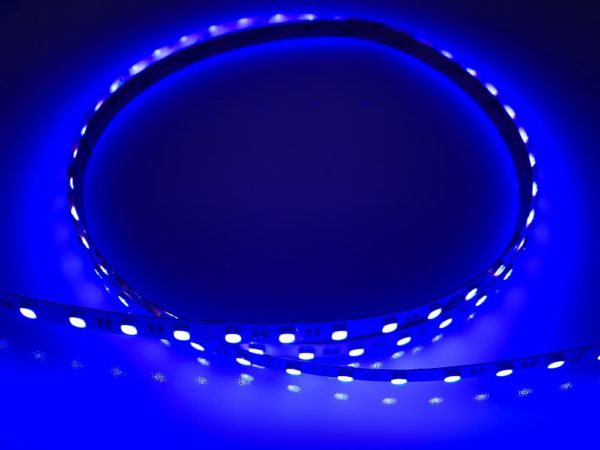 LED Strip Light RGBW Blue