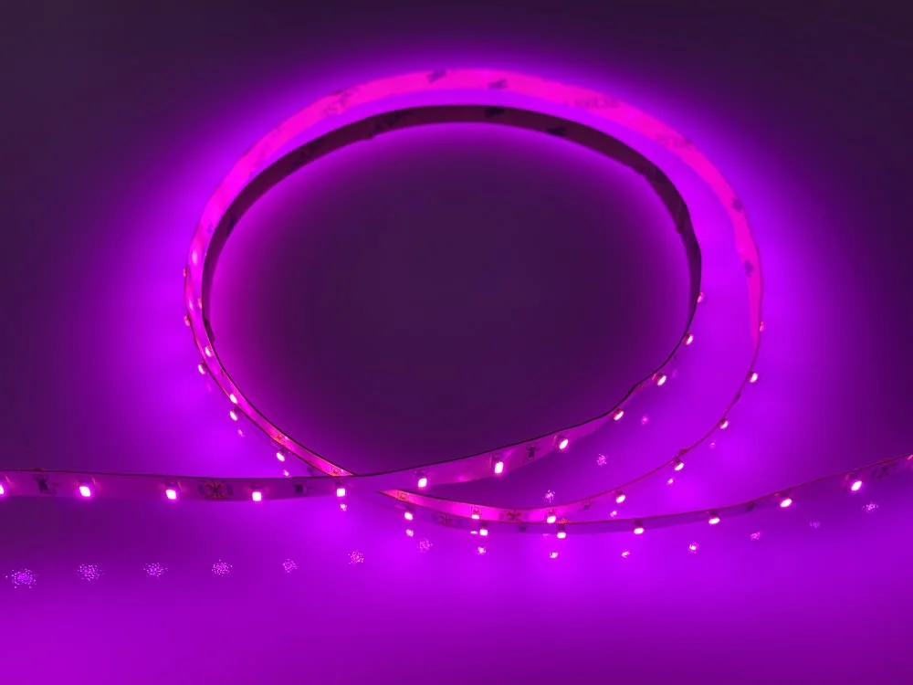 LED Strip Light SL5 PINK