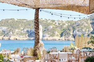 Canopy Festoon Lights