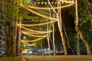 Festoon Lights along a pathway
