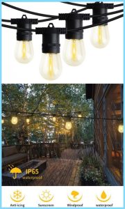 Festoon Lights at LED Lighthouse